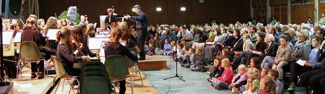 Beim Jubilumskonzert der Musikschule ...istung des Jugendsymphonieorchesters.   | Foto: Cremer