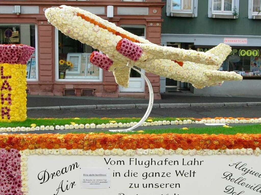 Die Chrysanthema 2008