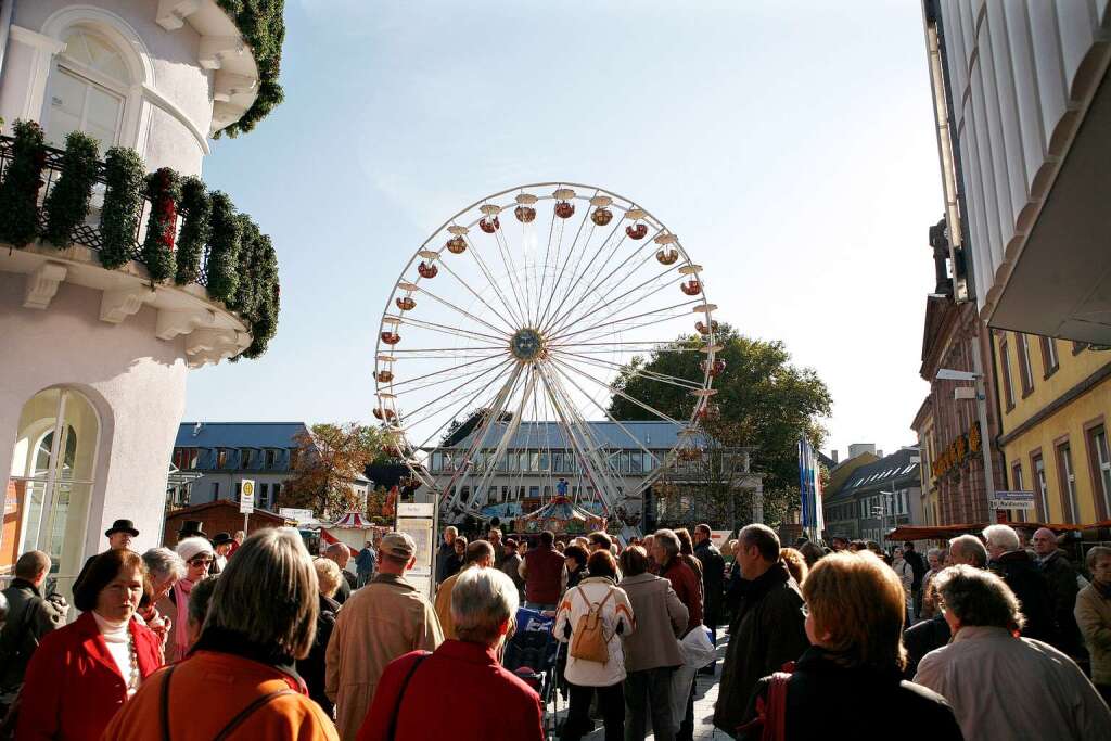 Die Chrysanthema 2008