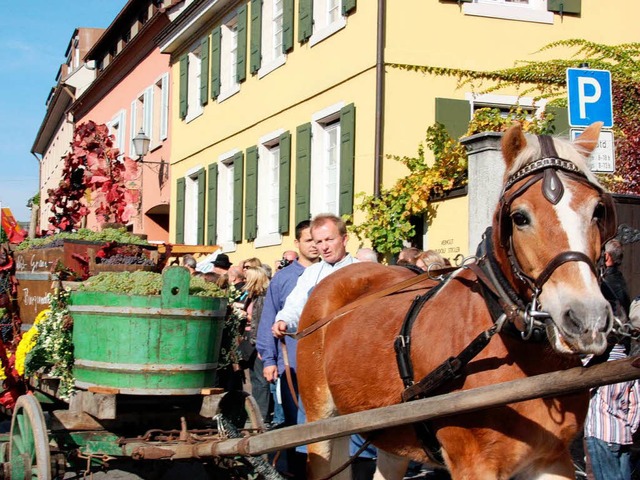 Der letzte Erntewagen wird zur Winzergenossenschaft gefahren.  | Foto: Christine Aniol