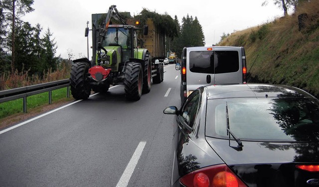 Hieb an der B317 in Brental  | Foto: ralf Morys