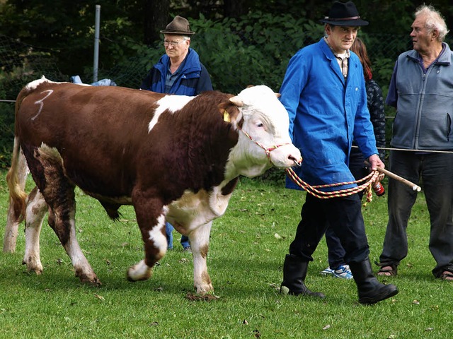 Der bestbewertete und zugleich als ein...von Helmut Dietsche aus dem Mnstertal  | Foto: Karin Stckl-Steinebrunner