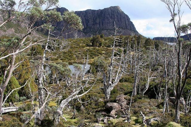 Bushwalking fr Bibelfeste