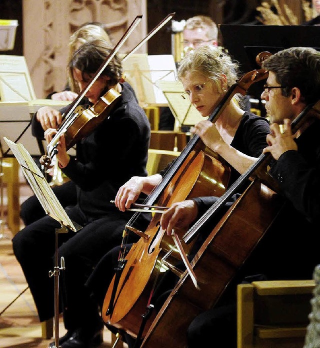 Die Elztal Sinfonietta bei ihrem Auftritt in der Lahrer Stiftskirche.    | Foto: Wolfgang Knstle