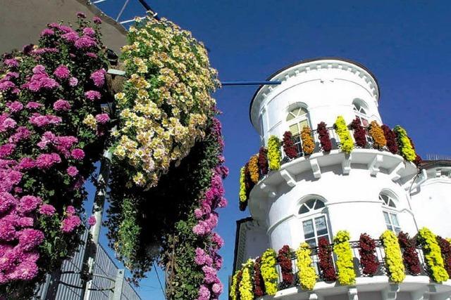 Video: Die Chrysanthema 2009 in Lahr