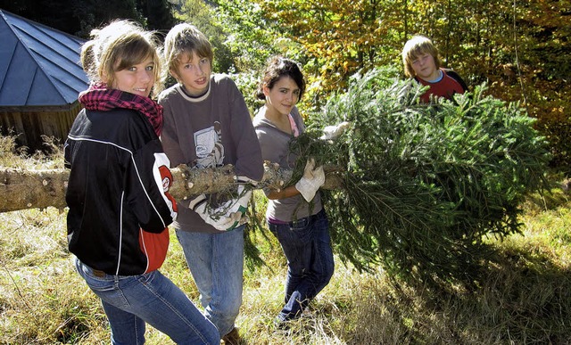 Beim Aufrumen  in einem Waldstck bei...wandern  krfiges Zupacken gefordert.   | Foto: Stefan Pichler