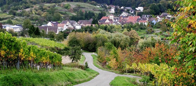Tipp: Durch die Weinberge zum Weinfest nach Wallburg wandern.   | Foto: Erika Sieberts