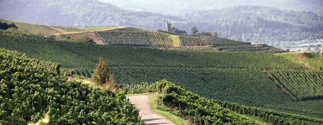 Droht die typische Ortenau-Landschaft ...n in der Rheinebene die Basis schafft?  | Foto: RAB