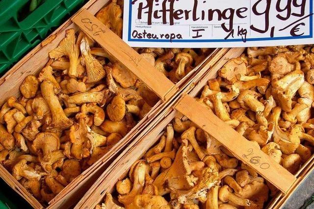 Warum deutsche Pilze auf heimischen Mrkten als polnische verkauft werden
