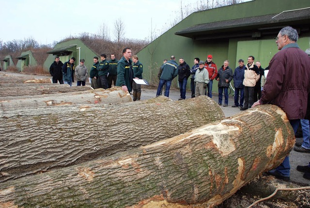 Der Stadtwald wirft Geld ab: 2008 wurd...achfrage 170 000 Euro Gewinn erzielt.   | Foto: Siefke