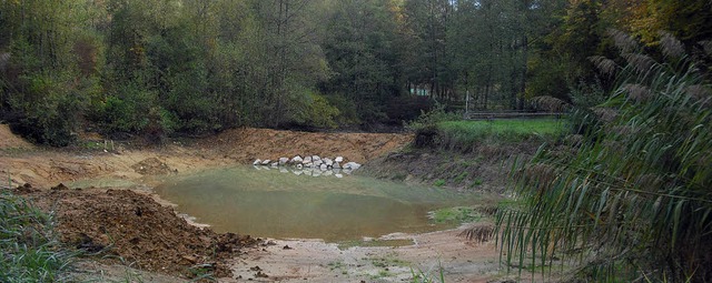 Der Flhwegweiher wird seit kurzem von einem Damm zerschnitten.   | Foto: SENF