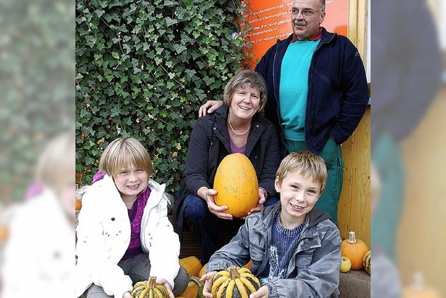 Jetzt gibt der Herbst den Ton an