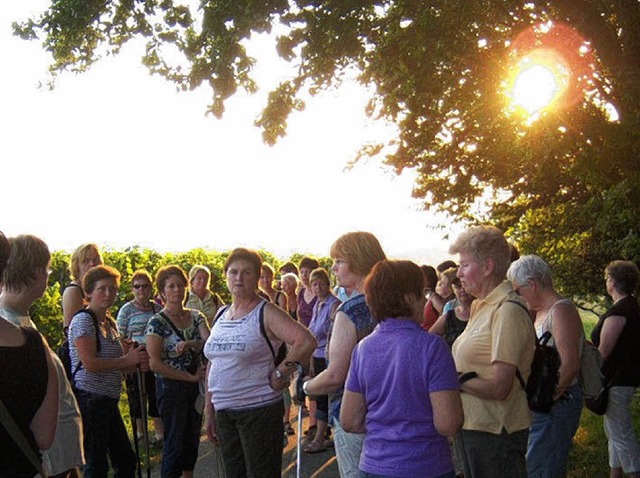 Abendwanderung 2009 in den Buchholzer Rebbergen  | Foto: Landfrauenverein Elztal-Simonswald