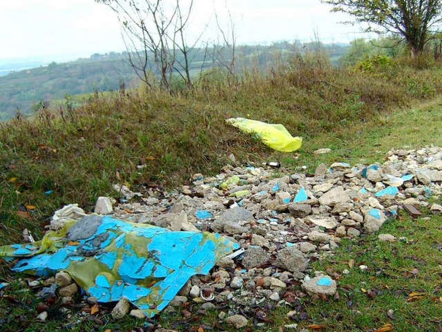 Bauschutt in den Weinbergen am Kenzinger Hummelberg.  | Foto: Polizei