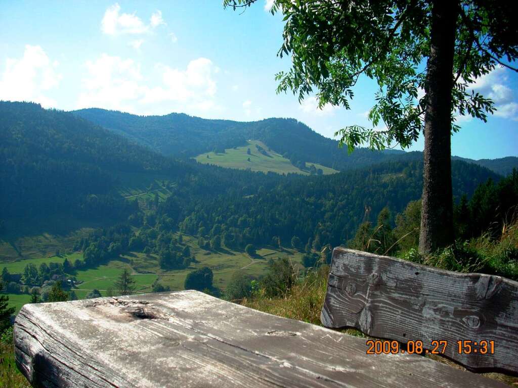Bernau: "Ich habe das Foto bei einer Wanderung im Hochschwarzwald, oberhalb von Bernau aufgenommen. Ein Platz an den ich immer wieder gerne zurckkehre, weil ich dort eine groe Ruhe und Zufriedenheit empfinde." (Cordula Rohgengel)