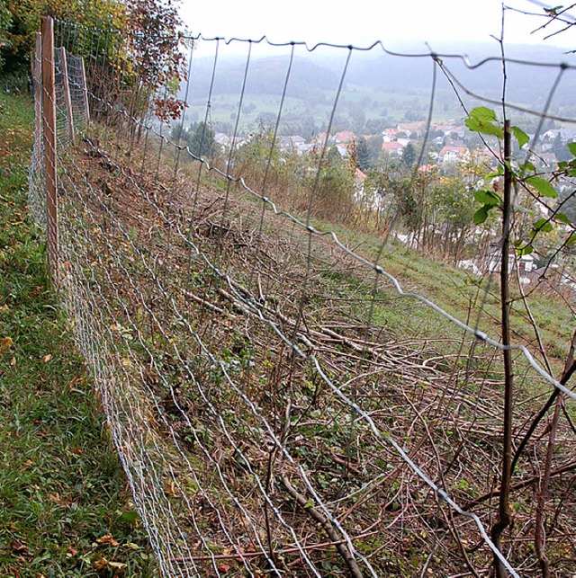 Die Aussicht soll der Zaun  knftig nicht mehr verstellen.   | Foto: SENF