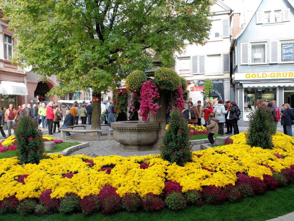 Impressionen vom zweiten Chrysanthemen-Wochenende