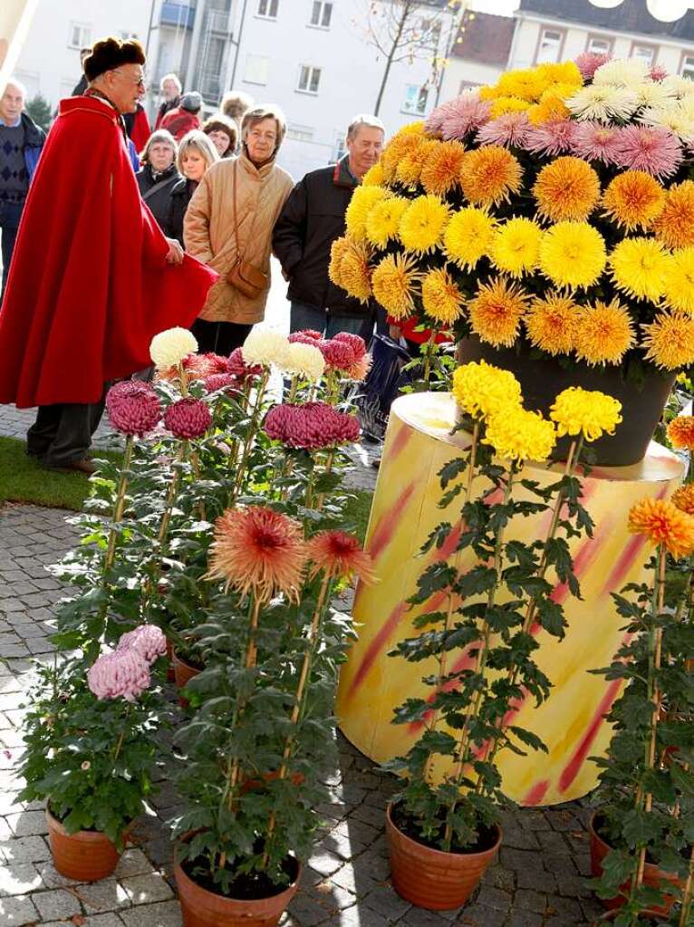 Impressionen vom zweiten Chrysanthemen-Wochenende