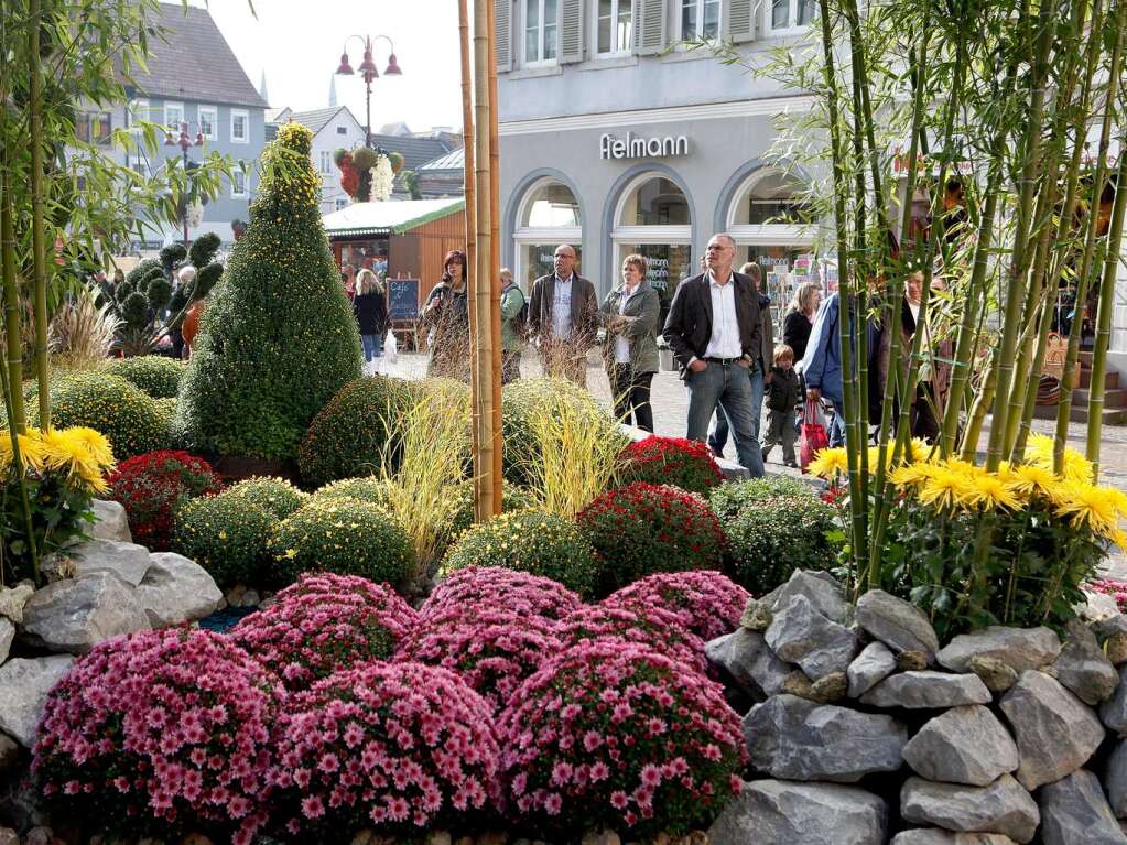 Impressionen vom zweiten Chrysanthemen-Wochenende