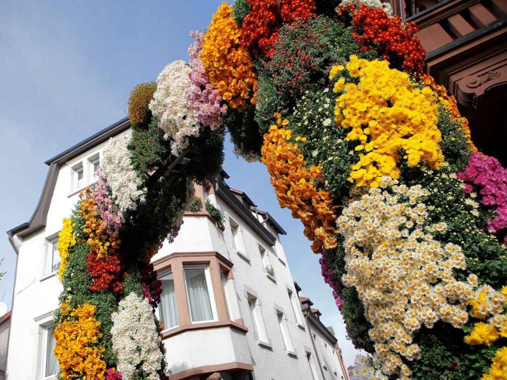 Impressionen vom zweiten Chrysanthemen-Wochenende