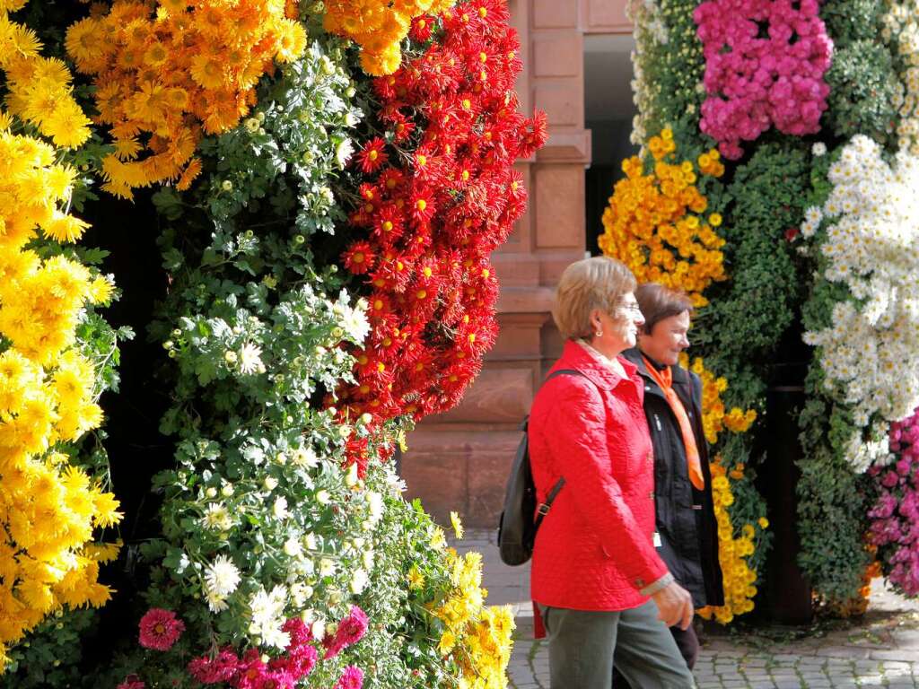 Impressionen vom zweiten Chrysanthemen-Wochenende