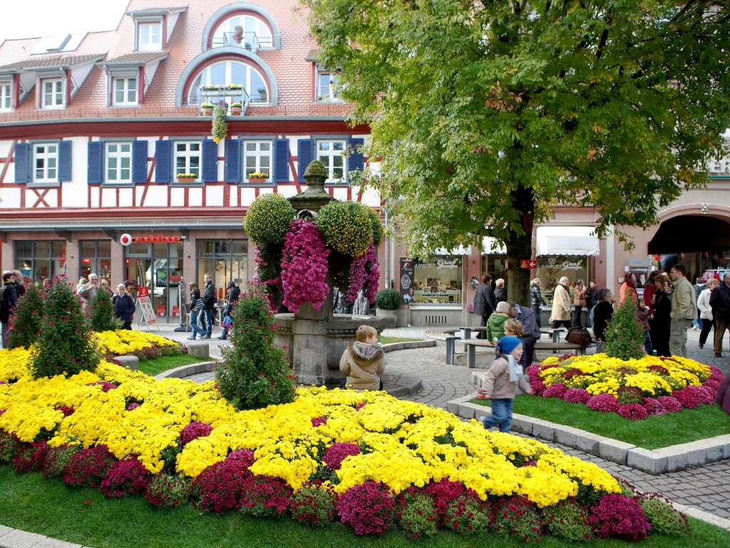 Impressionen vom zweiten Chrysanthemen-Wochenende