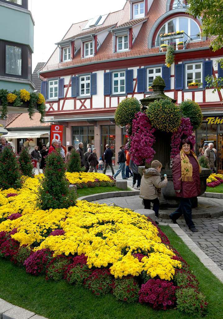 Impressionen vom zweiten Chrysanthemen-Wochenende