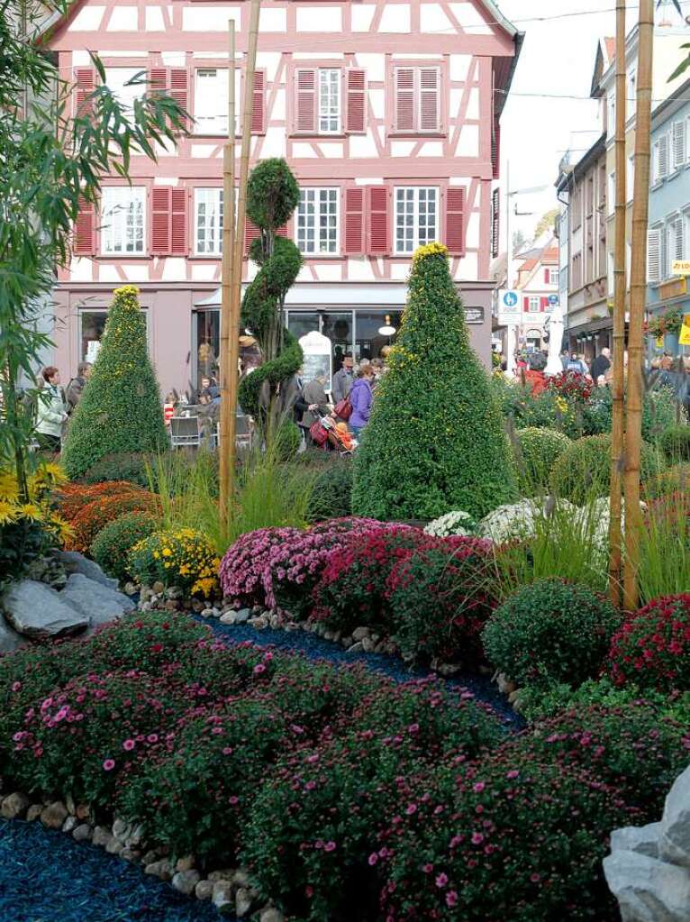 Impressionen vom zweiten Chrysanthemen-Wochenende