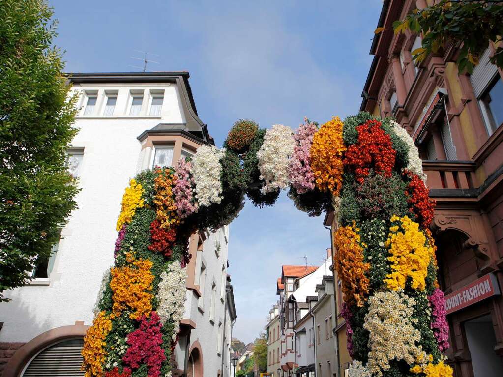 Impressionen vom zweiten Chrysanthemen-Wochenende