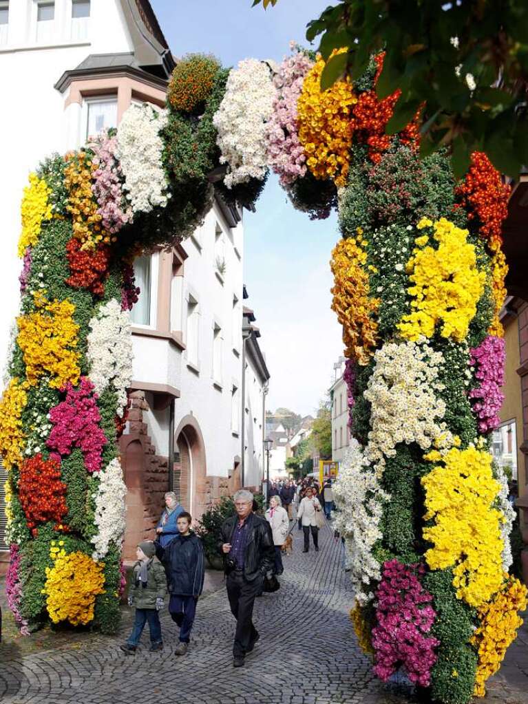 Impressionen vom zweiten Chrysanthemen-Wochenende