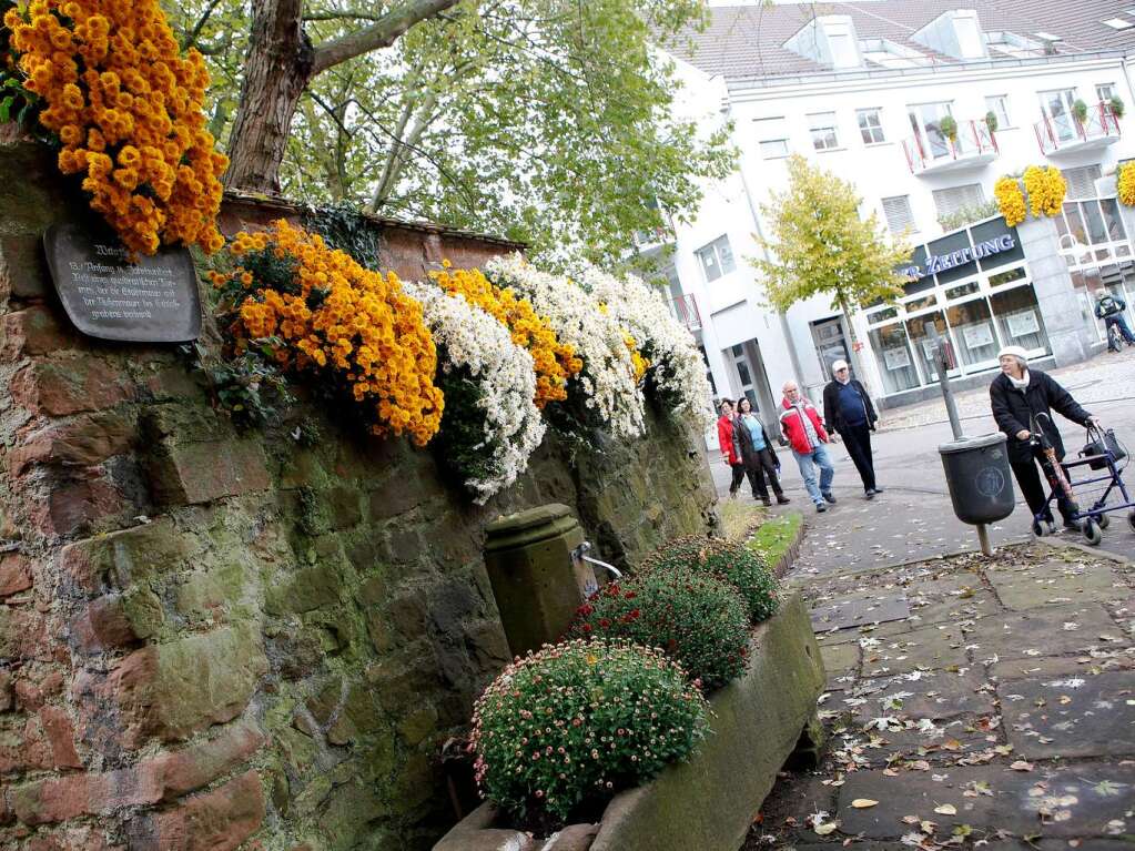 Impressionen vom zweiten Chrysanthemen-Wochenende