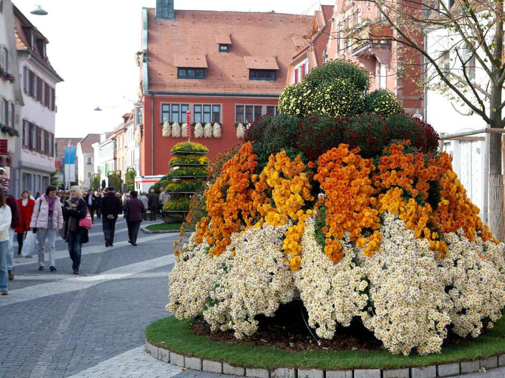 Impressionen vom zweiten Chrysanthemen-Wochenende