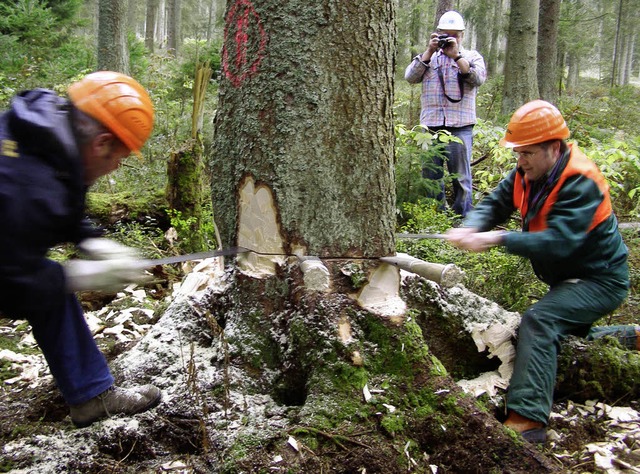 Brgermeister Clemens Hensler (rechts)... fast 30 Meter hohe Fichte zu fllen.   | Foto: Liane Schilling