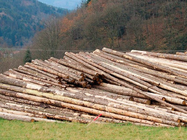 Mit  dem heimischen Holz kann die Gemeinde Oberried  viel Geld verdienen.   | Foto: Karlheinz Scherfling