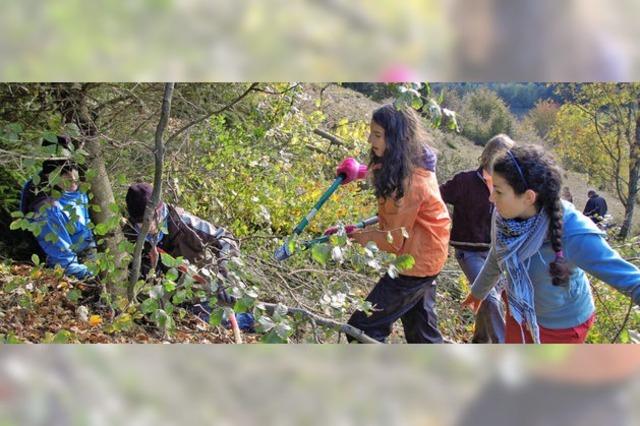 Schulklassen als Naturschutzpaten?