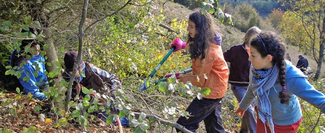 Waldorfschler aus Freiburg waren im Wiedener Naturschutzgebiet im Einsatz.   | Foto: Karin Maier