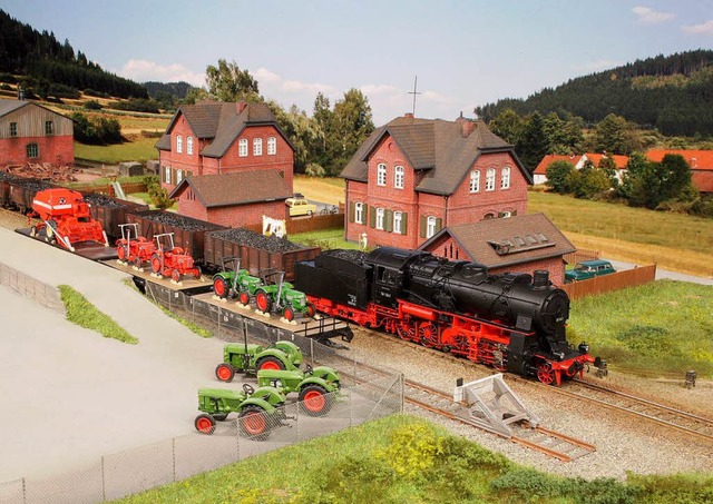 Eisenbahnen &#8211; mehr als ein Spiel...de eine besondere Anlage zu bestaunen.  | Foto: privat