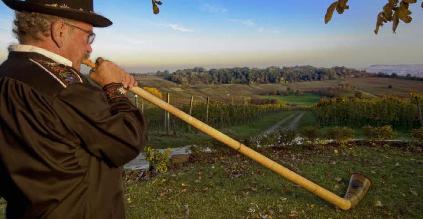 Gaston H.P. Meier spielt Alphorn in den Fischinger Weinbergen  | Foto: Birgit-Cathrin Duval / bcmpress