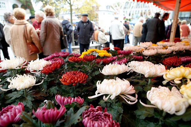 300000 Besucher kamen in diesem Jahr zur Chrysanthema nach Lahr.  | Foto: breithaupt