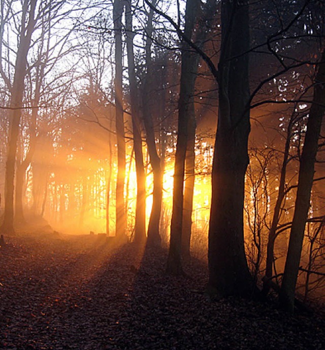 Lichtblick: Die Diakonie bietet Trauernden  Hilfe an.   | Foto: Privat