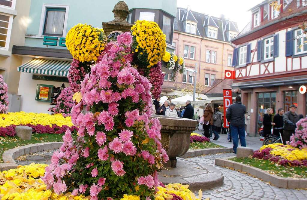 Abschlusswochenende der Chrysanthema Lahr