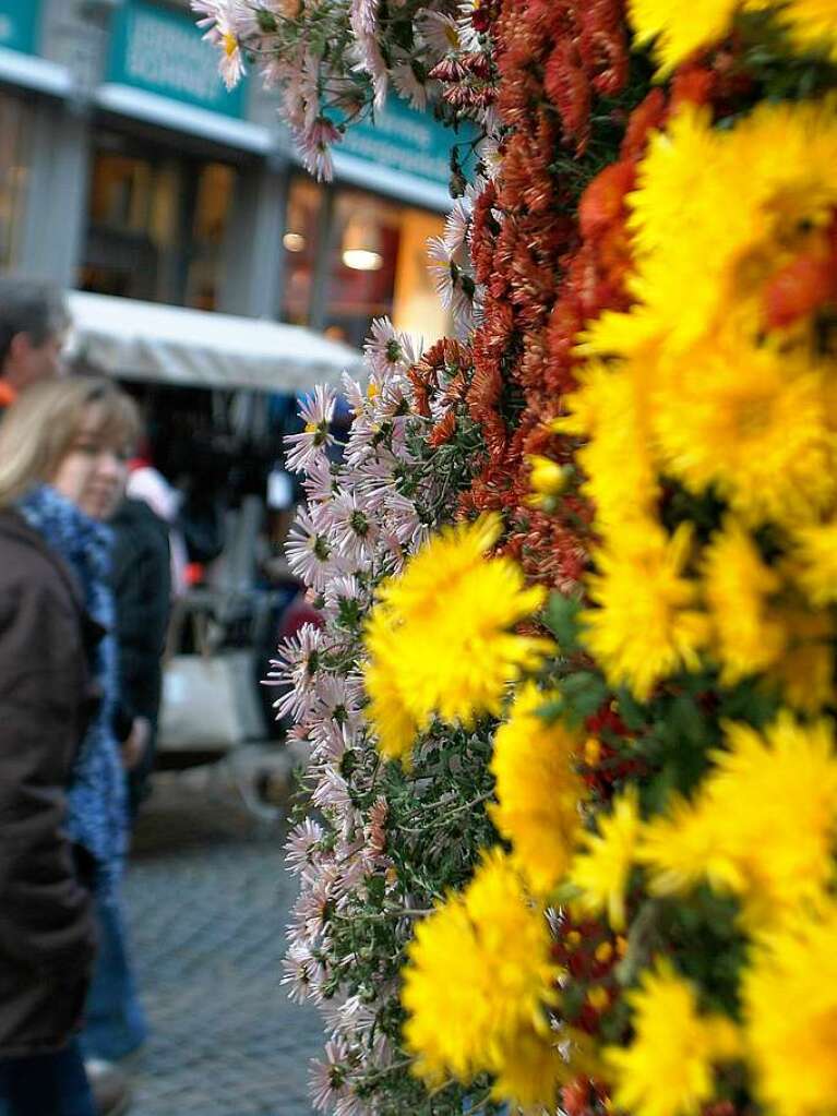 Abschlusswochenende der Chrysanthema Lahr