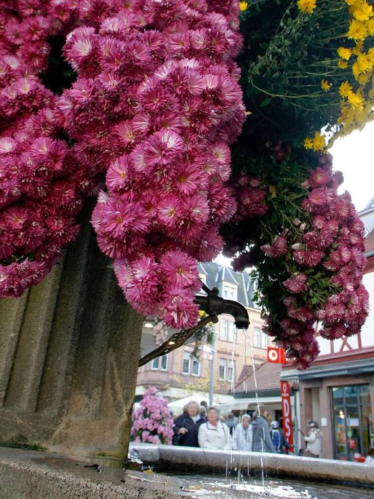 Abschlusswochenende der Chrysanthema Lahr