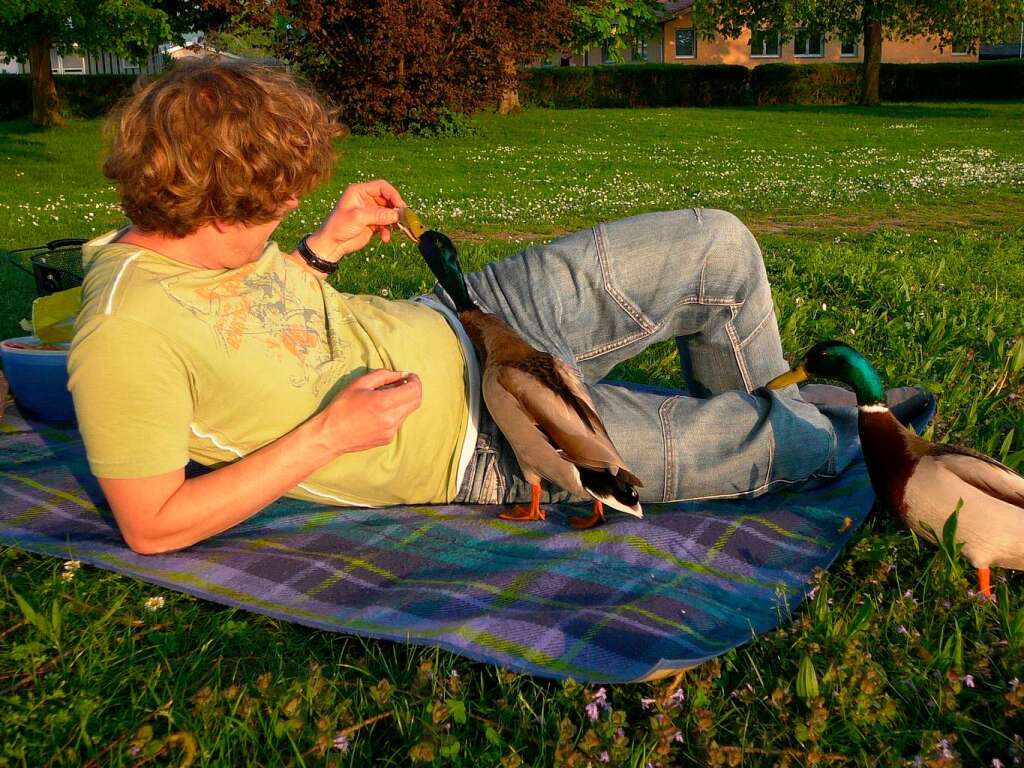 Der Schutterner Baggersee: "Dort kann ich  baden, picknicken, relaxen, lesen und schlafen. Manchmal finden sich beim Picknicken auch noch ein paar Enten ein." (Harry Reichmann)