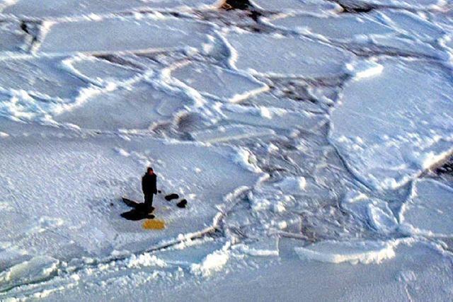 Mit Bren auf einer Eisscholle