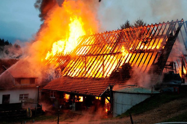 Lichterloh in Flammen: Der Bauernhof i...ld war von den Wehren nicht zu retten.  | Foto: Horst Dauenhauer