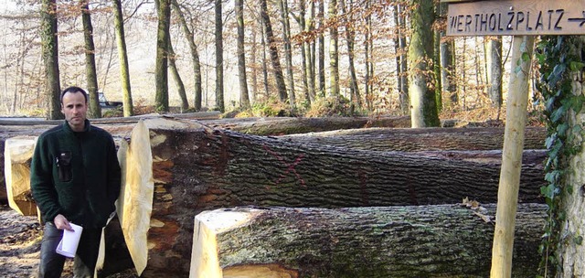 Wertvolles Holz wird erst wieder aus d...ie Nutzungsziele im Gemeindewald vor.   | Foto: BZ