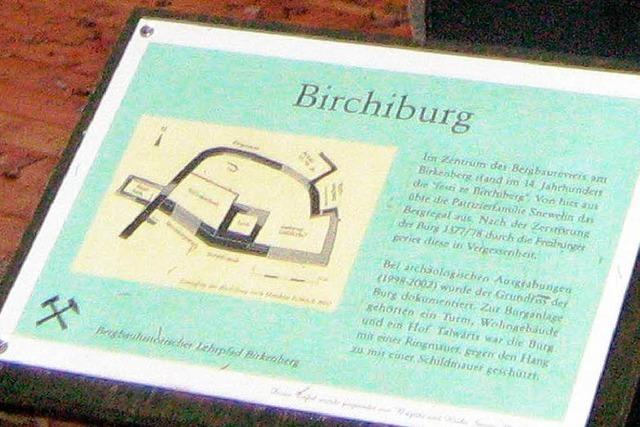Blick auf die Reste der Birchiburg