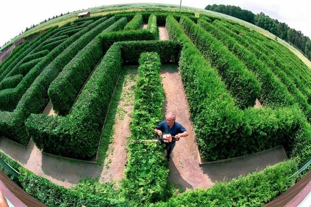 Ein Labyrinth für den Lahrer Stadtgarten