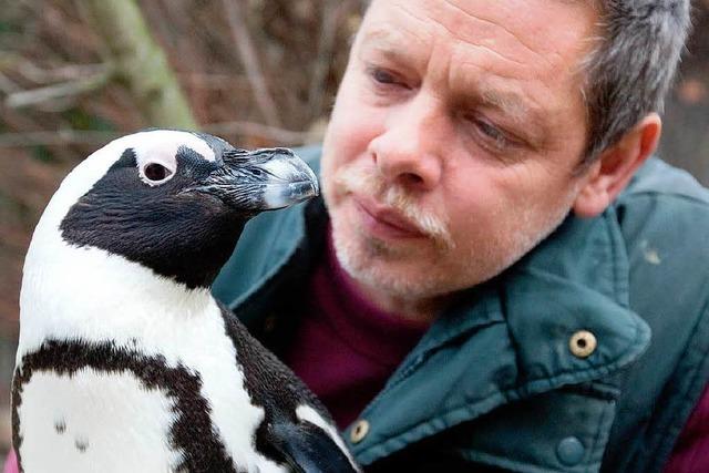 Pinguindame Sandy verliebt – in ihren Pfleger